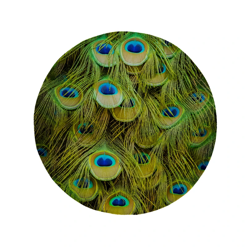 پادری مدل دایره طرح پرطاووس کد 5314 سایز 90 × 90 سانتی متر 