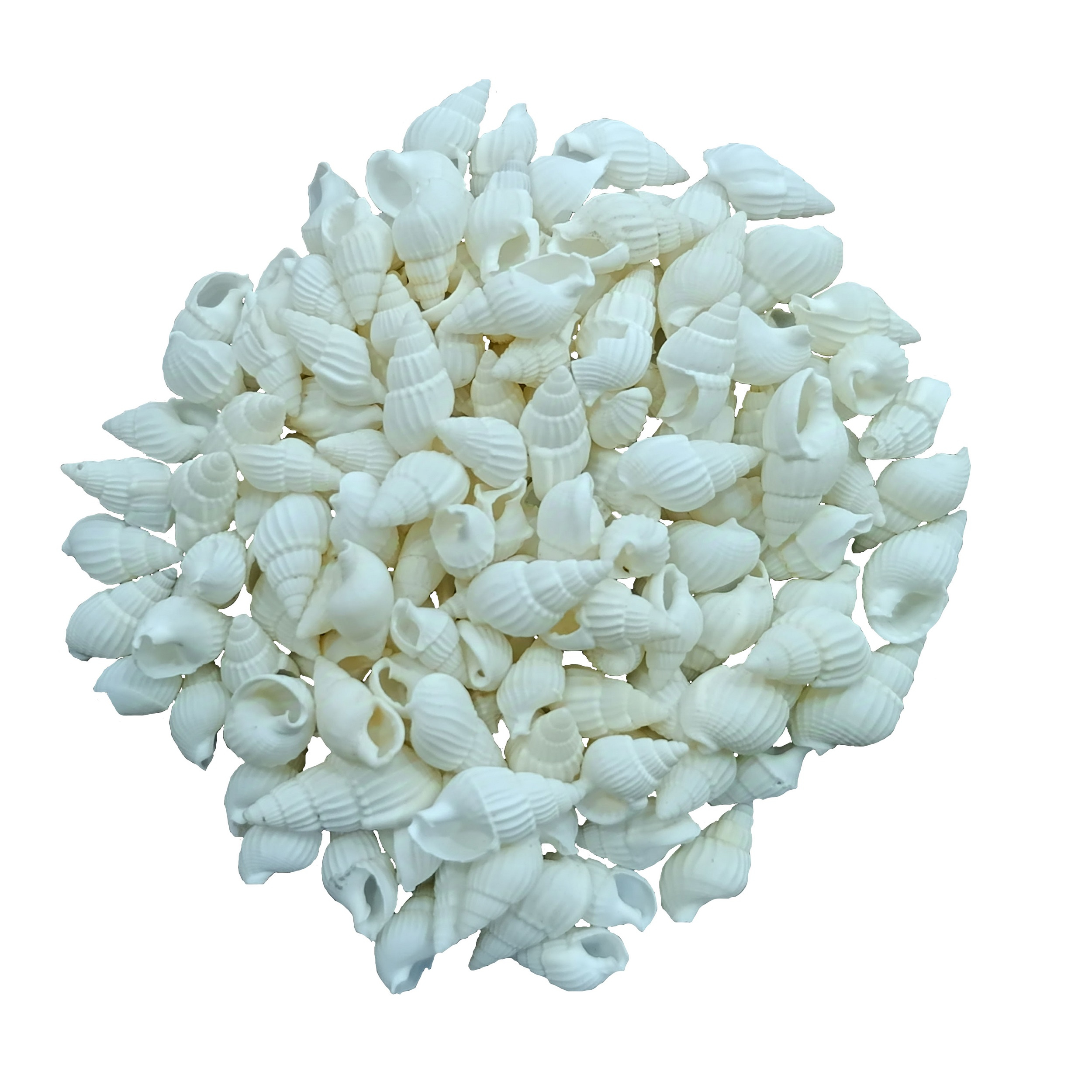 صدف تزیینی آکواریوم مدل pkst05 وزن 30 گرم