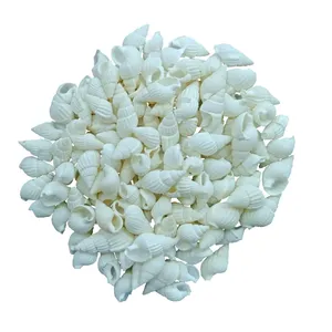 صدف تزیینی آکواریوم مدل pkst05 وزن 30 گرم