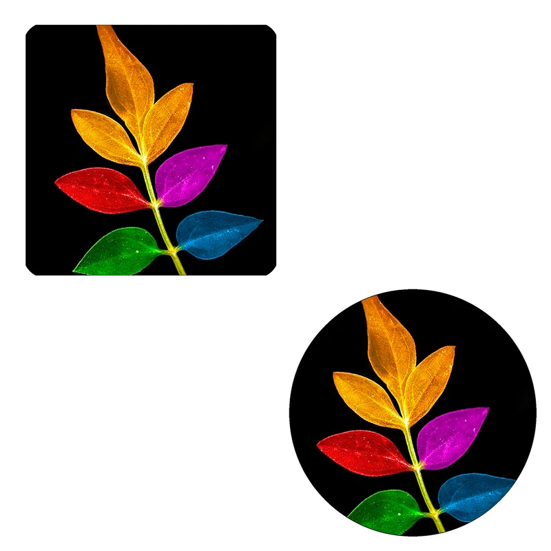 مگنت طرح برگ های رنگی کد M1 به همراه زیر لیوانی