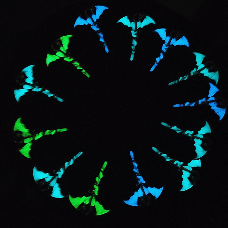 گردنبند دخترانه مدل شب تاب طرح دراگون محافظ شمشیر گردنبند دخترانه مدل شب تاب طرح دراگون محافظ شمشیر