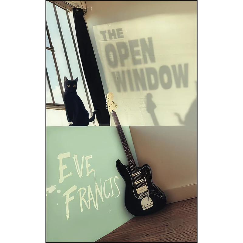 کتاب The Open Window اثر Eve Francis انتشارات تازه ها