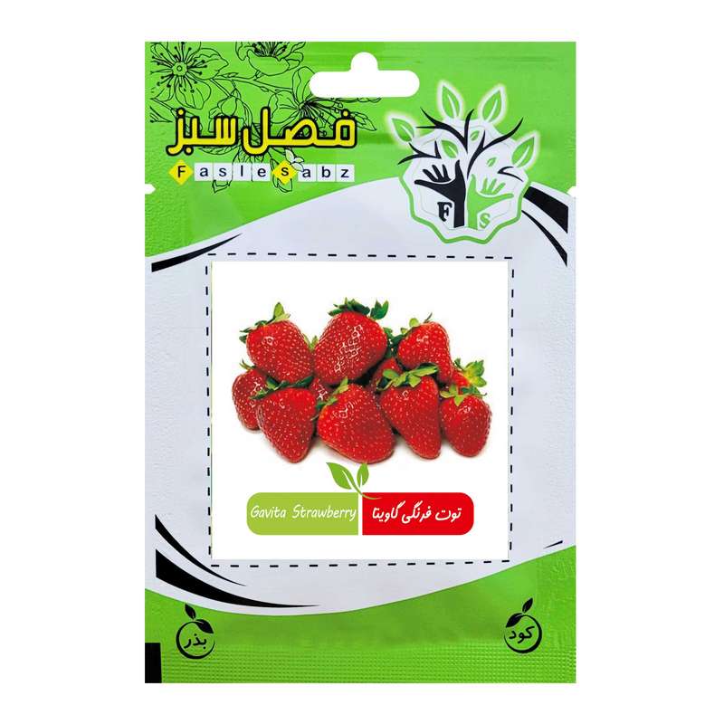 بذر توت فرنگی گاویتا فصل سبز کد FSSEED-034
