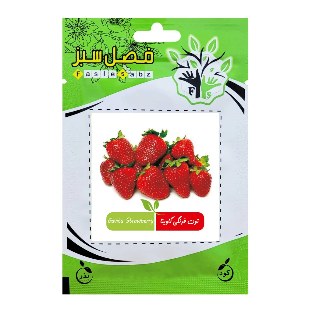 بذر توت فرنگی گاویتا فصل سبز کد FSSEED-034