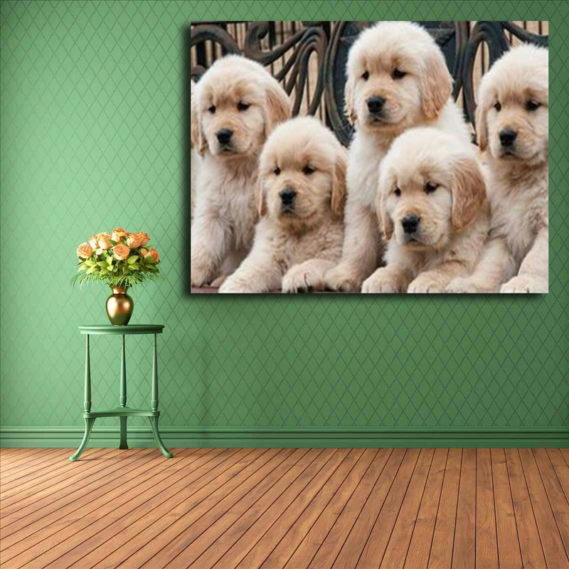 تابلو شاسی مدل سگ کد 19