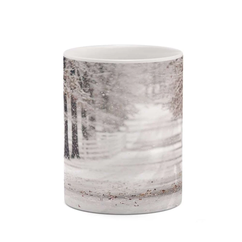 ماگ کاکتی مدل منظره کد mgh18349