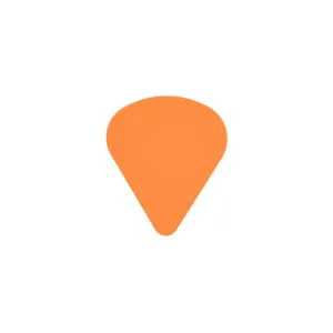 پیک گیتار مدل FAV