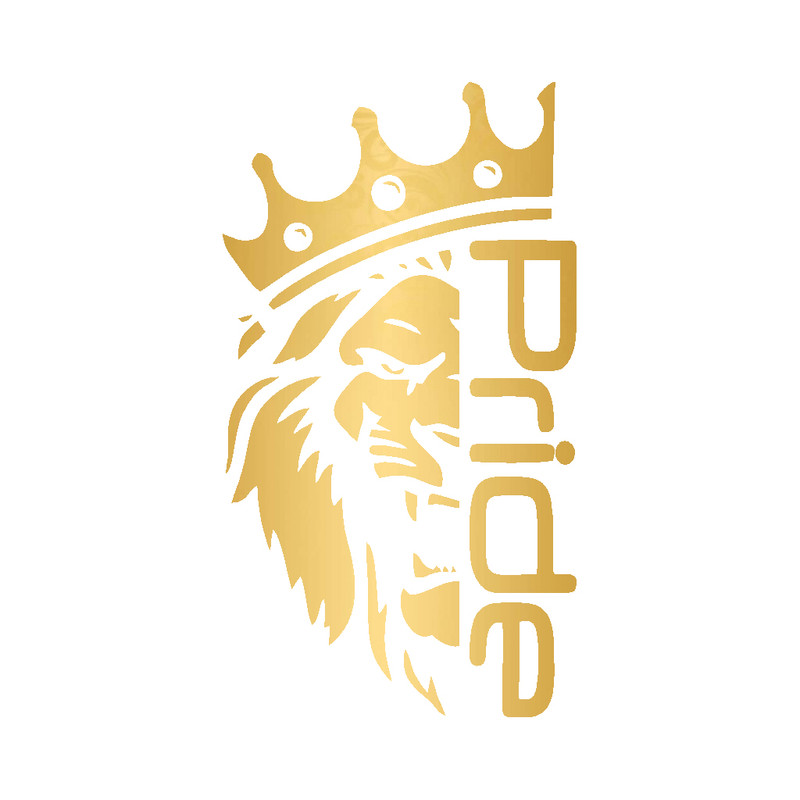 برچسب بدنه خودرو شیپرس طرح Pride کد Sp004T