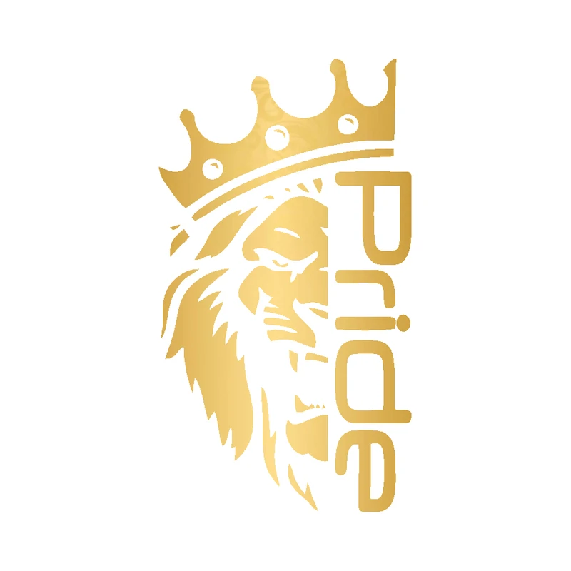 برچسب بدنه خودرو شیپرس طرح Pride کد Sp004T