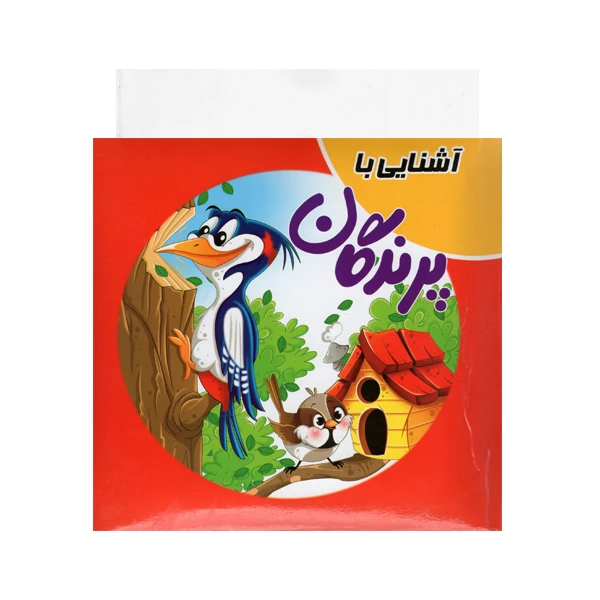 کتاب آشنایی با پرندگان اثر سمیه حسینی انتشارات آدرینا