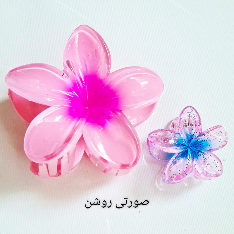 کلیپس مو زنانه مدل گل پلومریا کد brg 430 بسته 2 عددی 3 در وبزینر کلیپس مو زنانه مدل گل پلومریا کد brg 430 بسته 2 عددی