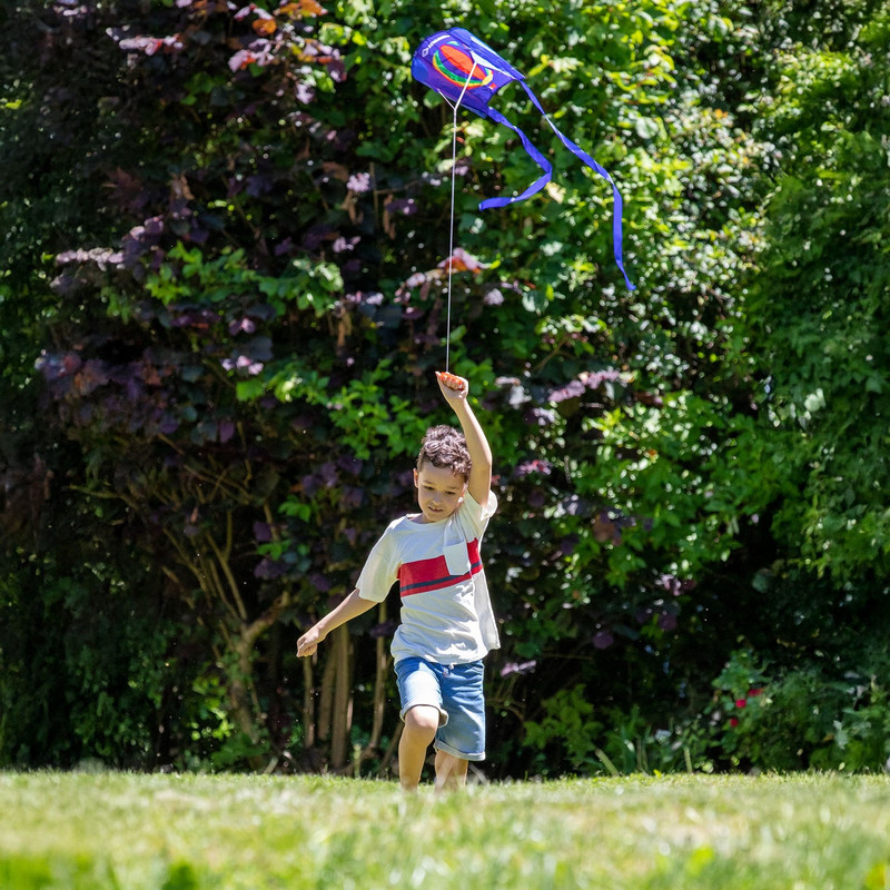 بادبادک شیلدکروت مدل Pocket کد 100