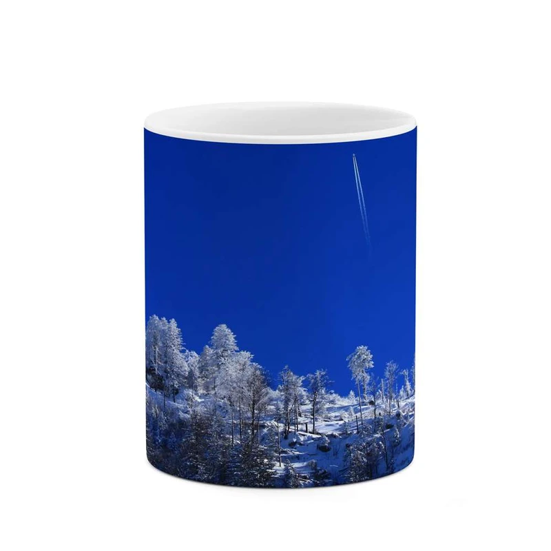 ماگ کاکتی مدل منظره برفی کد mgh14987