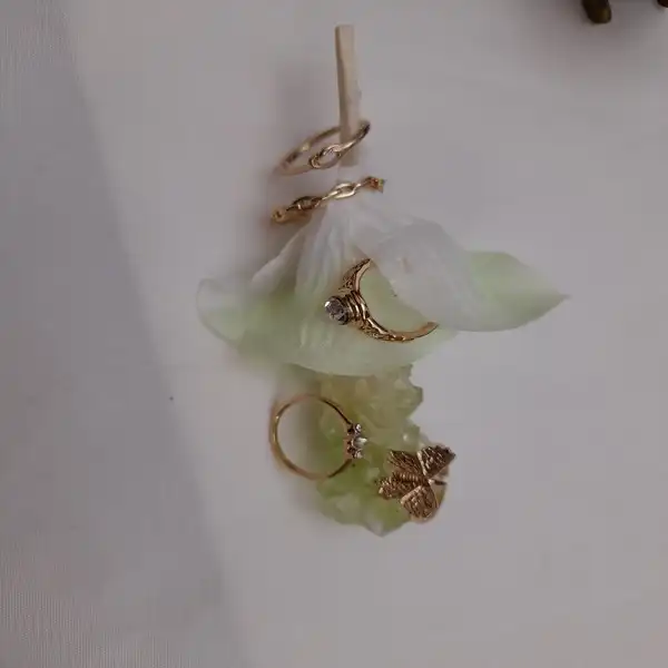 انگشتر زنانه کد 1026 مجموعه 5 عددی