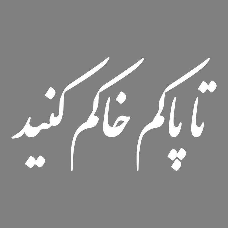 برچسب بدنه خودرو طرح تا پاکم خاکم کنید کد MT-W444