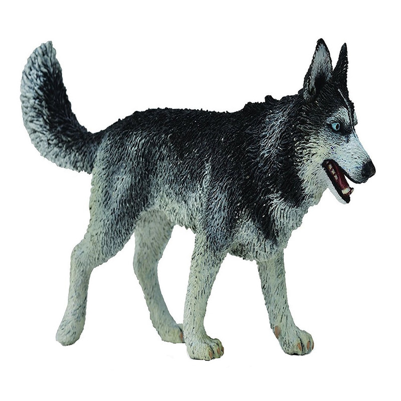 فیگور مدل سگ هاسکی سیبری