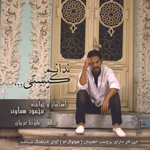 آلبوم موسیقی ندانم کیستی اثر محمود هماوند