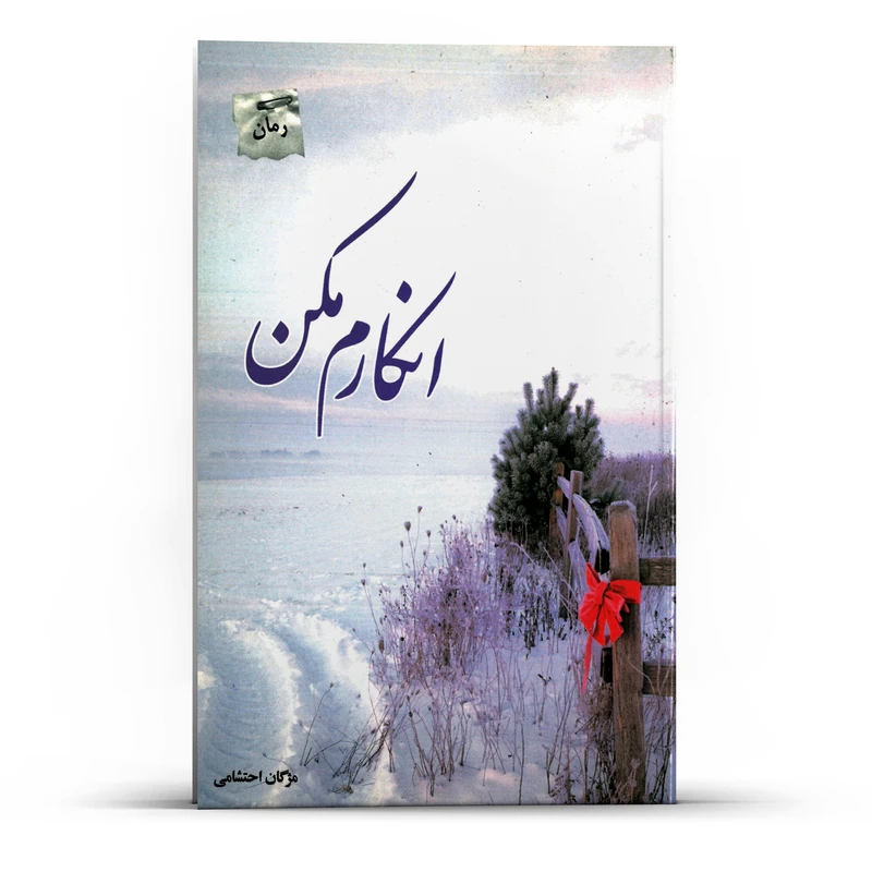 کتاب رمان انکارم مکن اثر مژگان احتشامی انتشارات پل