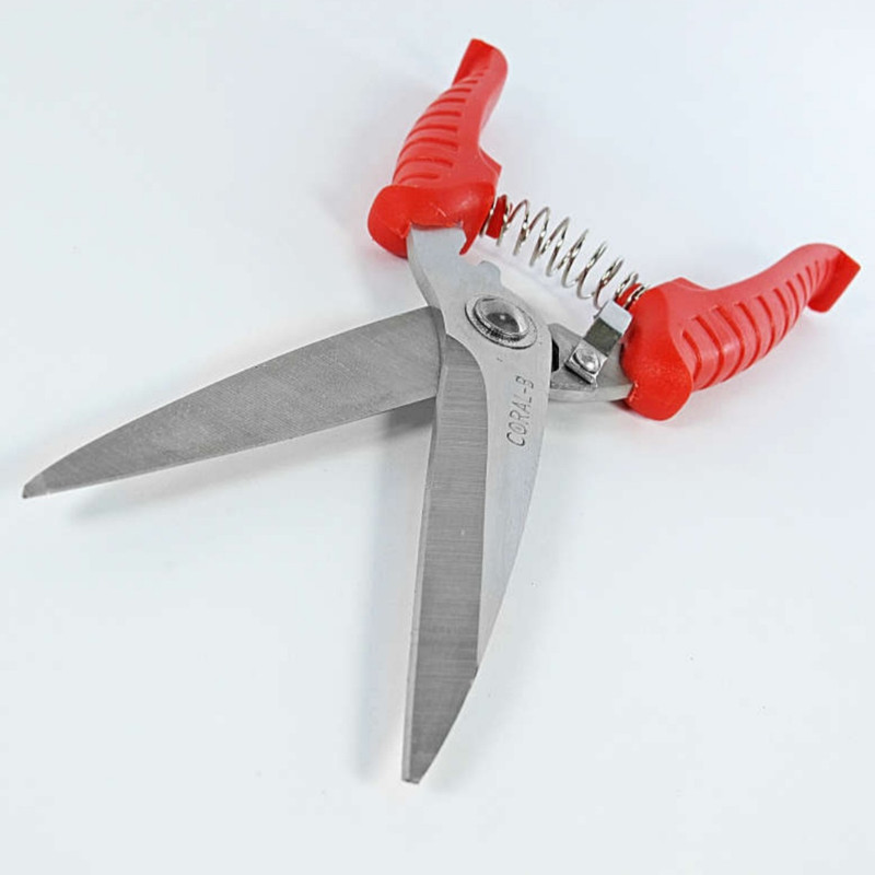 قیچی باغبانی کورال مدل آروین سالیان