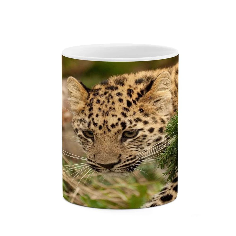 ماگ کاکتی مدل پلنگ کد mgh16245