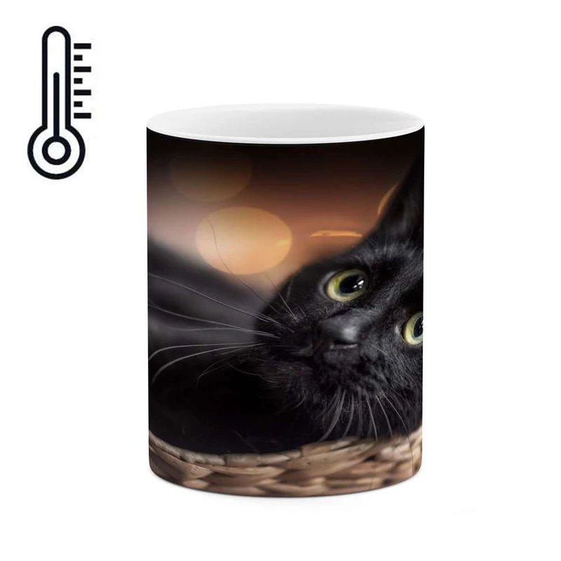 ماگ حرارتی کاکتی مدل گربه کد mgh16211