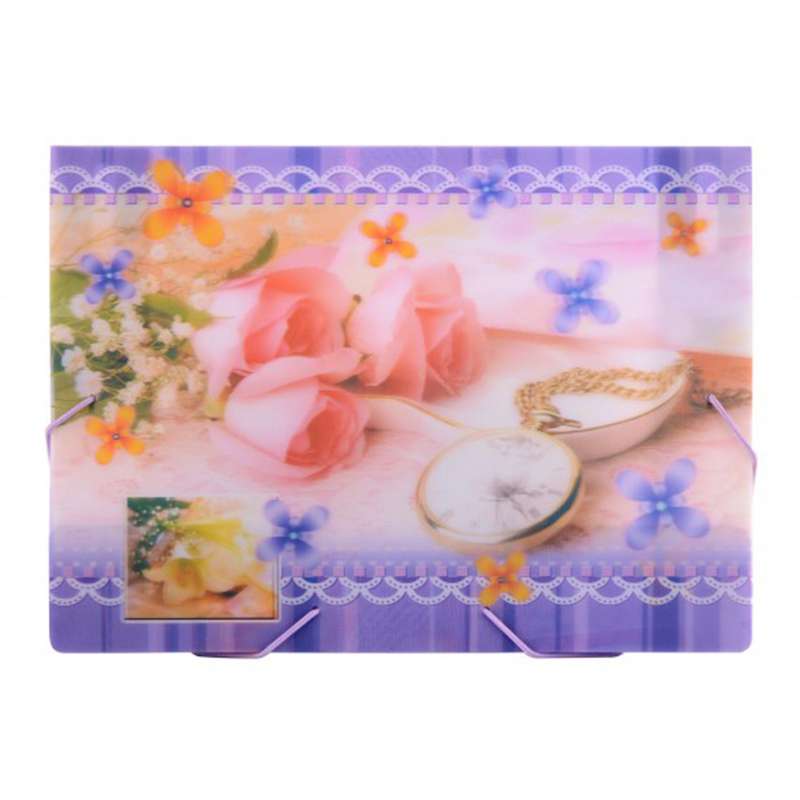پوشه پاپکو مدل کش دار طرح دار کد S501-3F