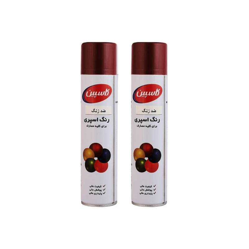 اسپری ضد زنگ اخرایی کاسپین مدل Professional حجم 300 میلی لیتر مجموعه 2 عددی 