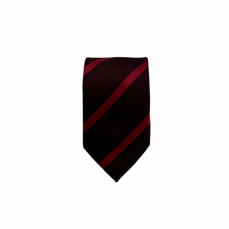ست کراوات و دستمال جیب مردانه آریوان مدل کج راه B3303