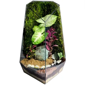 تراریوم ترارتوس مدل 01