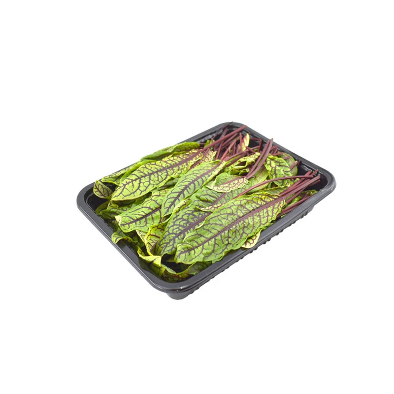 سبزی سورل - 500 گرم