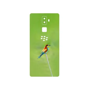 MAHOOT European bee-eater Cover Sticker for BlackBerry Evolve