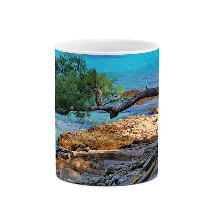 ماگ کاکتی مدل صخره کد mgh10156