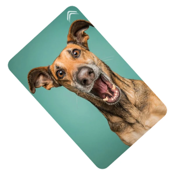  استیکر کارت مدل CAB709-K-G1-79