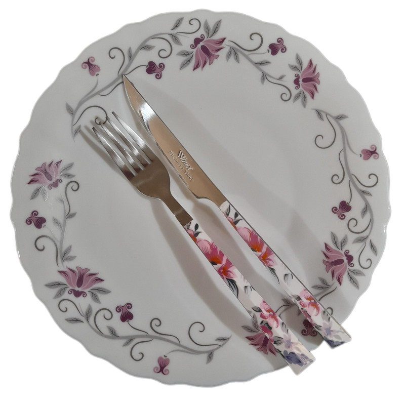 ست کارد و چنگال میوه خوری 12 پارچه وینکس کد  V124