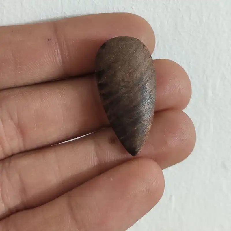 مضراب تار مدل w01