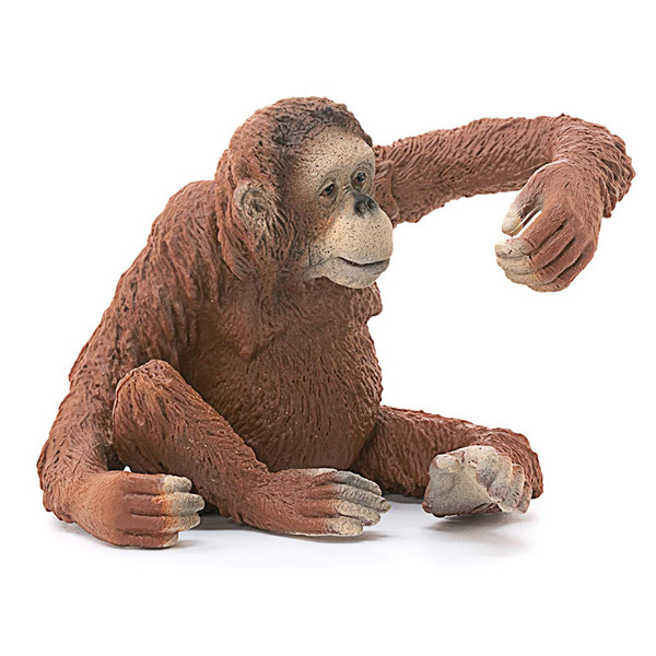 فیگور مدل Orangutan کد 14775