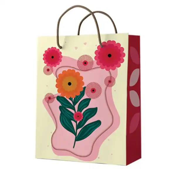 ساک هدیه مدل 10288 بسته 12 عددی