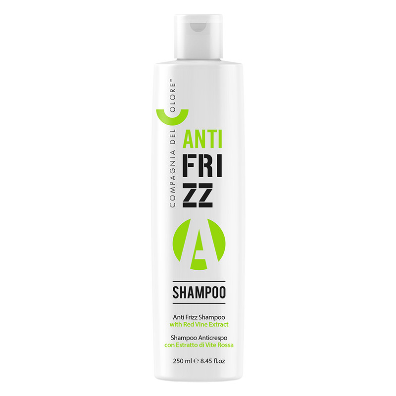 شامپو مو دل کالر مدل Anti Frizz حجم 250 میلی لیتر