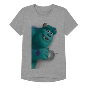 تی شرت آستین کوتاه پسرانه مدل کمپانی هیولا کد SH11 رنگ طوسی