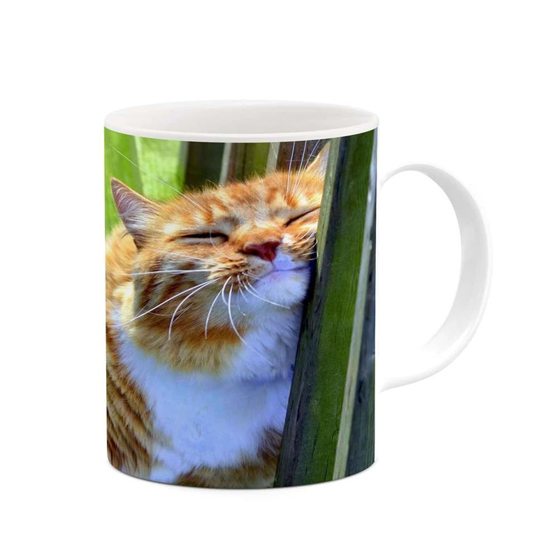 ماگ کاکتی مدل گربه کد mgh16151