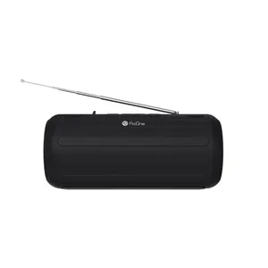 اسپیکر بلوتوثی قابل حمل پرووان مدل PSB4615