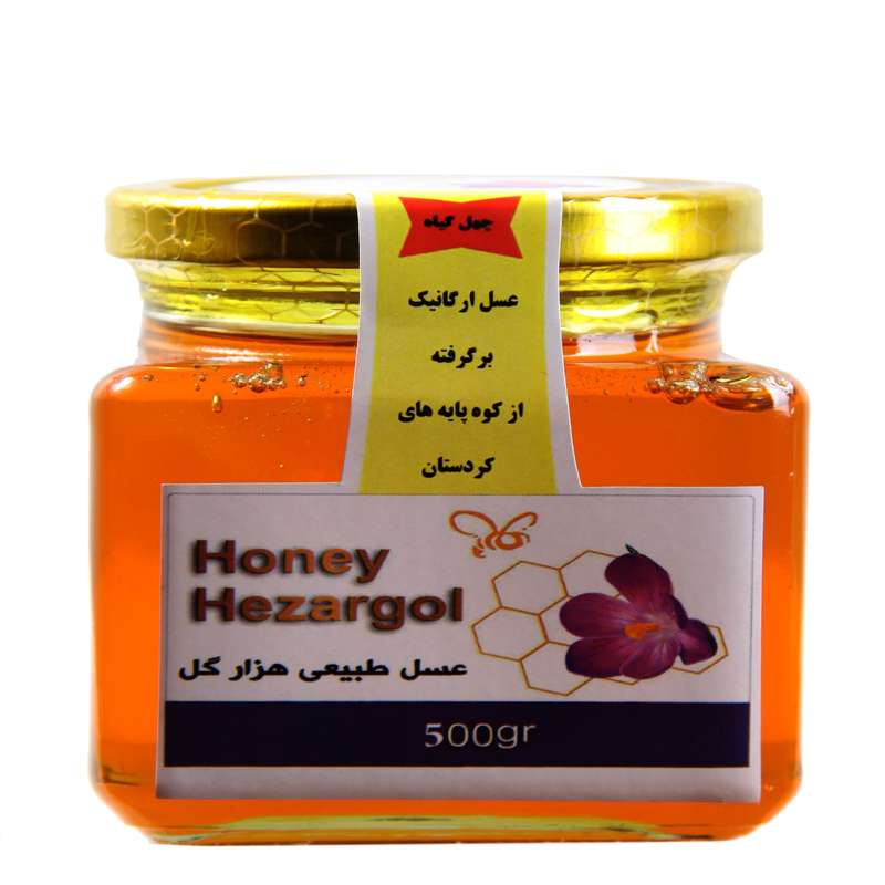 عسل چهل گیاه هزار گل - 500 گرم