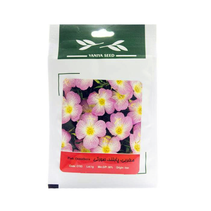 بذر مغربی پابلند صورتی وانیا سید کد O193 بذر مغربی پابلند صورتی وانیا سید کد O193