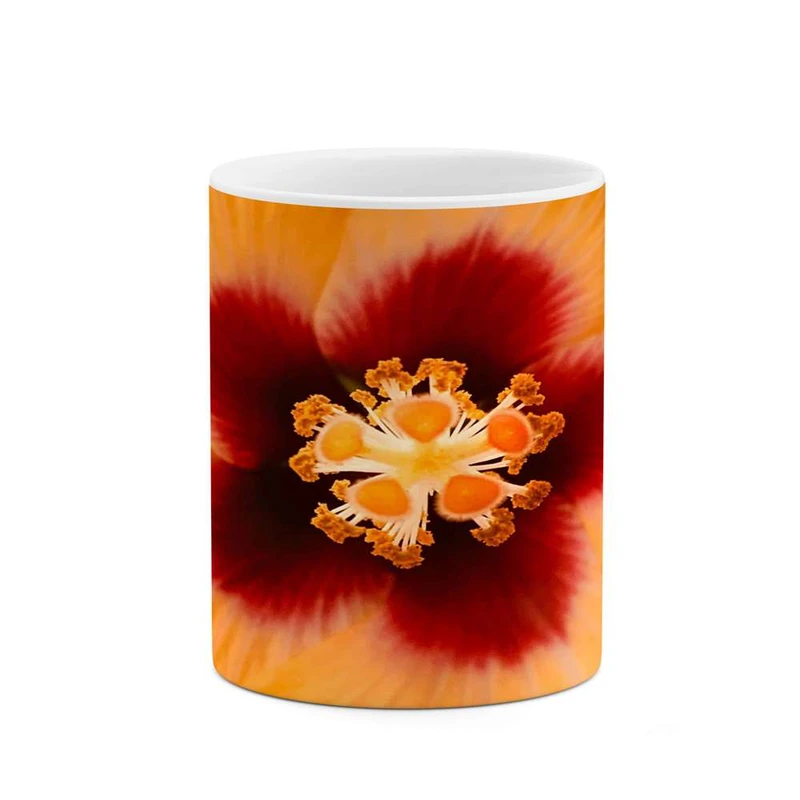 ماگ کاکتی مدل فانتزی کد mgh16460