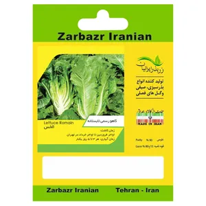بذر کاهو رسمی تابستانه زربذر ایرانیان کد ZBP-41