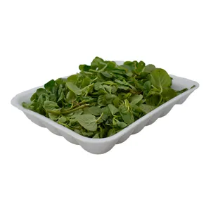 نعنا فلفلی درجه یک - 80 گرم 