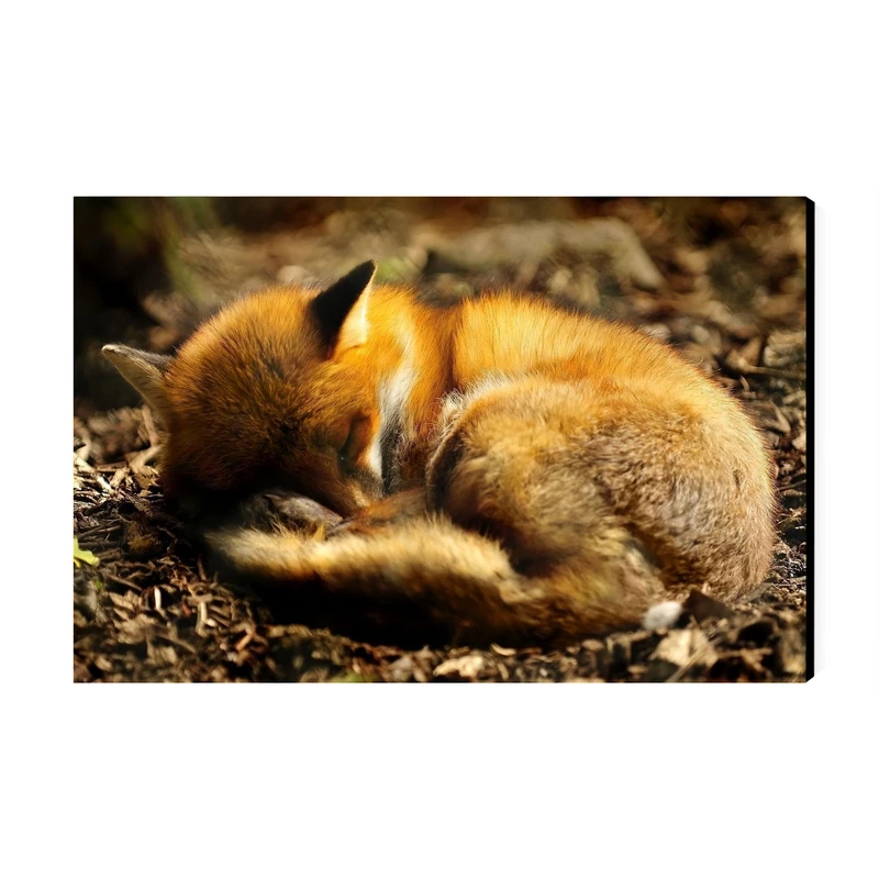 تابلو شاسی عرش مدل فانتزی روباه کد As3068