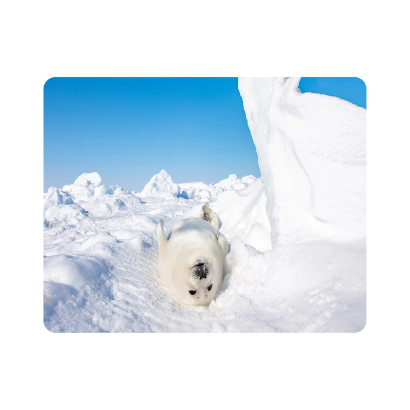 ماوس پد اطلس آبی طرح فک در برف مدل T7840