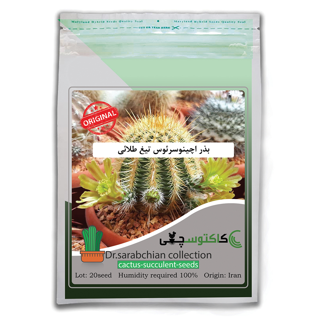 بذر اچینوسرئوس تیغ طلائی کاکتوسچی مدل AM-022