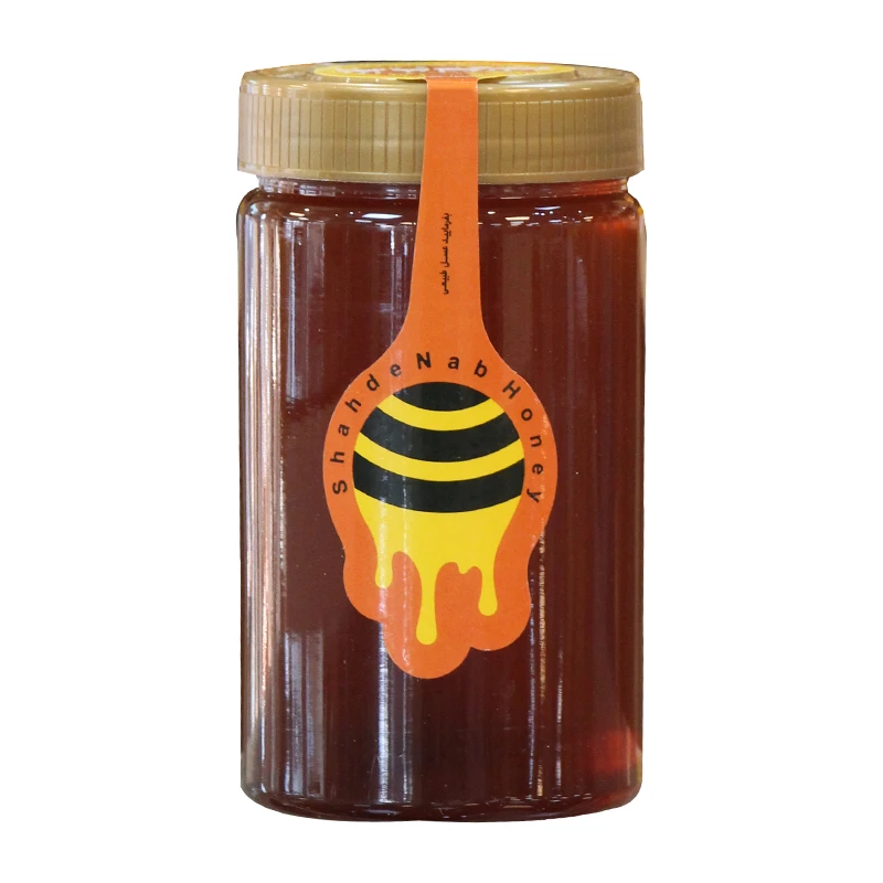 عسل طبیعی کوهستان خانه احسان - 750 گرم